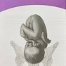 بارداری و زایمان ویلیامز 2022 جلد اول رنگی ( ویراست بیست و ششم )