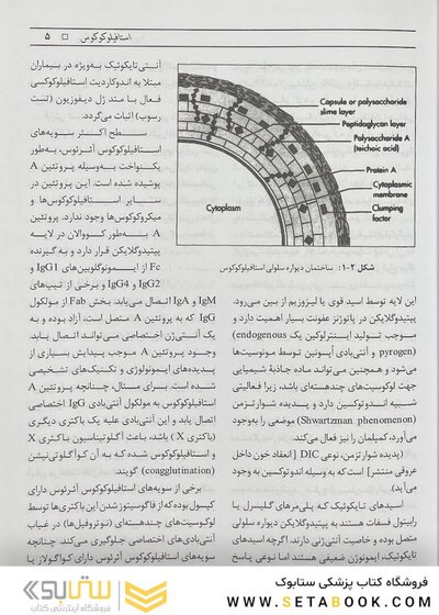 باکتری های بیماری زا