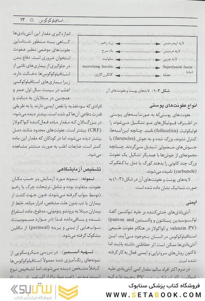 باکتری های بیماری زا