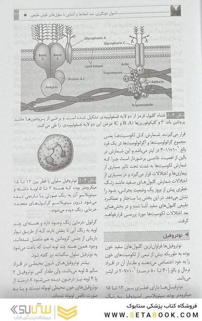 هماتولوژی و بانک خون MLT