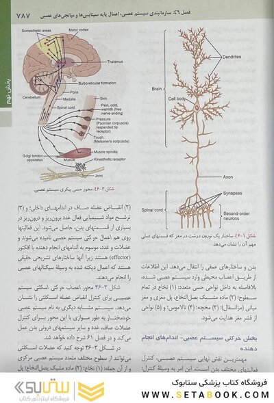 فیزیولوژی پزشکی گایتون و هال 2021 جلد 2  ( هارد )