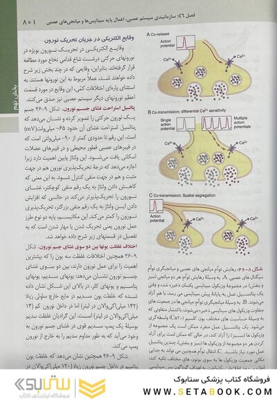 فیزیولوژی پزشکی گایتون و هال 2021 جلد 2  ( هارد )