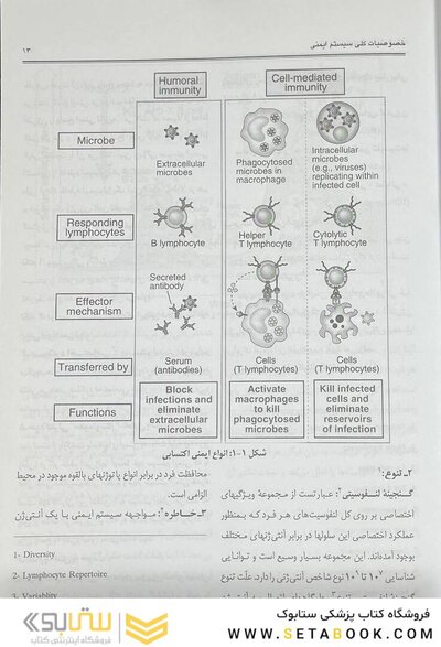ایمونولوژی 4 استاد