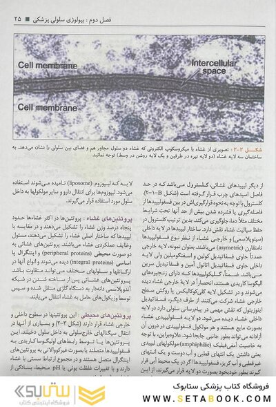 بافت شناسی سلیمانی راد