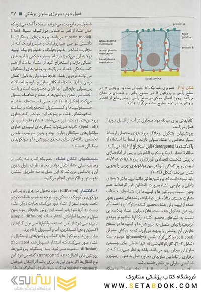 بافت شناسی سلیمانی راد