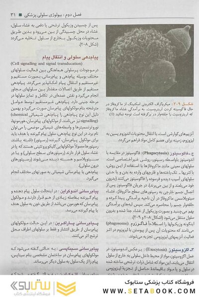 بافت شناسی سلیمانی راد