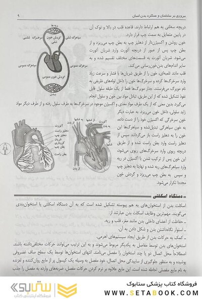 کمک های اولیه و فوریت های پزشکی در سوانح