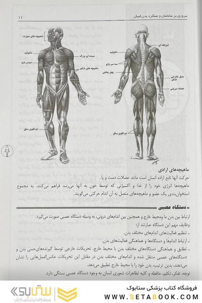 کمک های اولیه و فوریت های پزشکی در سوانح