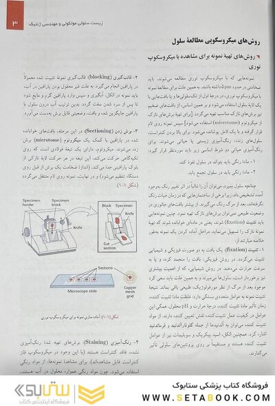 زیست شناسی سلولی،مولکولی و مهندسی ژنتیک رنگی