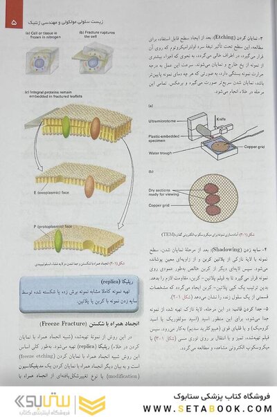زیست شناسی سلولی،مولکولی و مهندسی ژنتیک رنگی