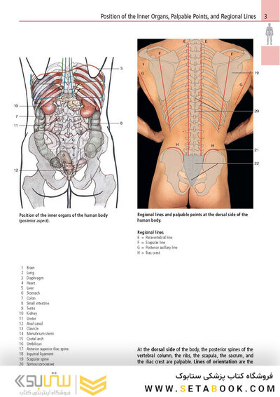 Anatomy: A Photographic Atlas