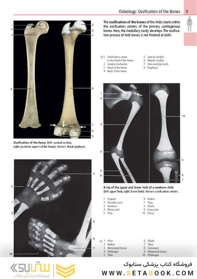 Anatomy: A Photographic Atlas