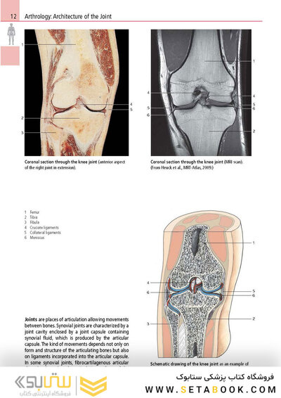Anatomy: A Photographic Atlas
