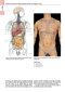 Anatomy: A Photographic Atlas
