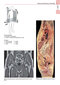 Anatomy: A Photographic Atlas