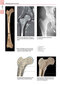 Anatomy: A Photographic Atlas