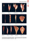 Anatomy: A Photographic Atlas