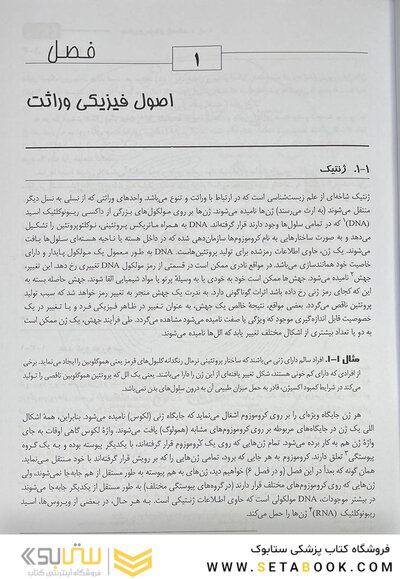 مبانی و مسائل ژنتیک استنسفیلد