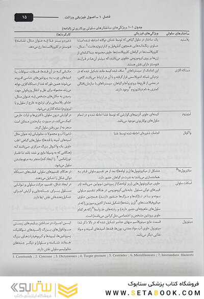 مبانی و مسائل ژنتیک استنسفیلد