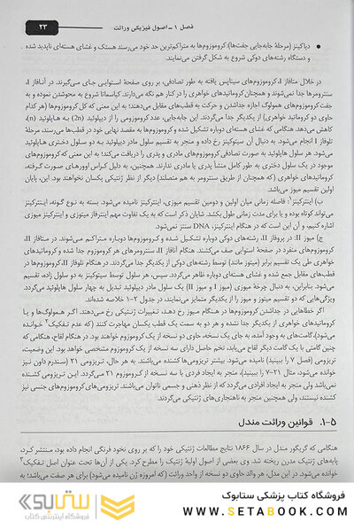 مبانی و مسائل ژنتیک استنسفیلد