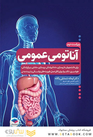 آناتومی عمومی شمایلی یگانه