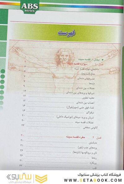 ABS آناتومی تنه