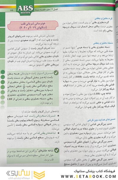 ABS آناتومی تنه