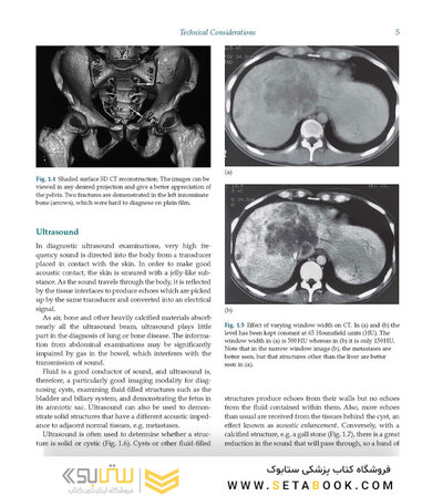 Diagnostic Imaging Armstrong 7th Edicion  2013