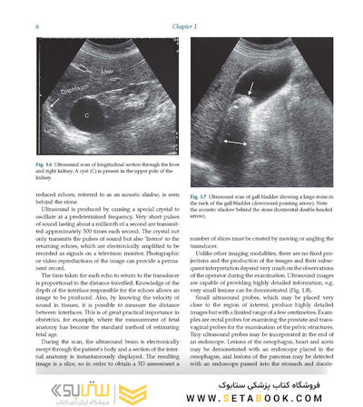 Diagnostic Imaging Armstrong 7th Edicion  2013