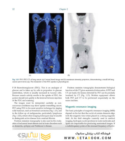 Diagnostic Imaging Armstrong 7th Edicion  2013