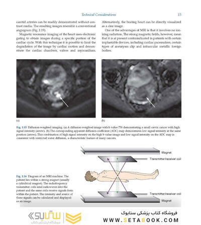 Diagnostic Imaging Armstrong 7th Edicion  2013