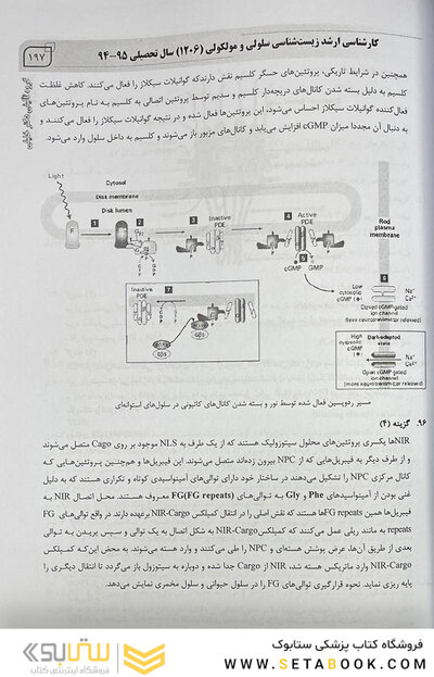 IQB (10 سالانه) کارشناسی ارشد مجموعه زیست شناسی سلولی و مولکولی (1206)