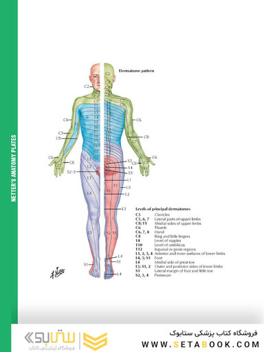 کتاب 2015 ICD-9-CM for Hospitals