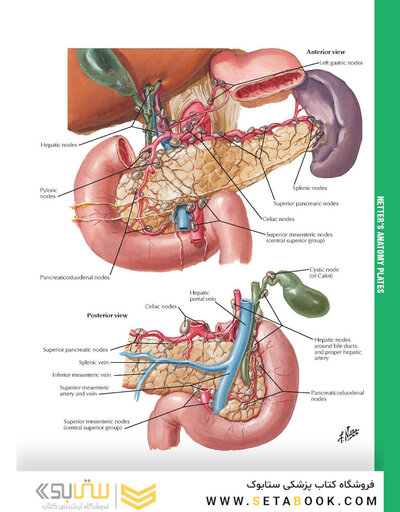 کتاب 2015 ICD-9-CM for Hospitals