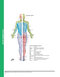 کتاب 2015 ICD-9-CM for Hospitals