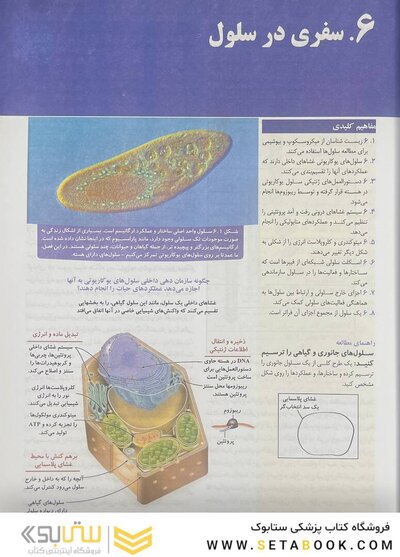 بیولوژی کمپبل 2021 سلول جلد 2