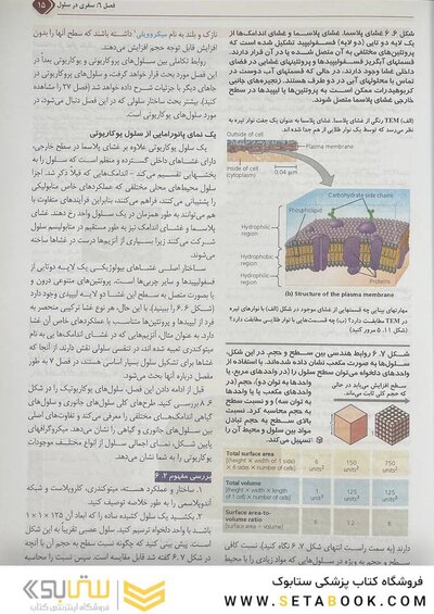 بیولوژی کمپبل 2021 سلول جلد 2