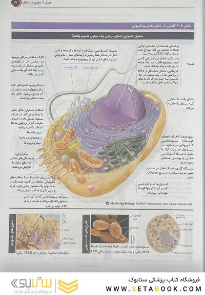 بیولوژی کمپبل 2021 سلول جلد 2