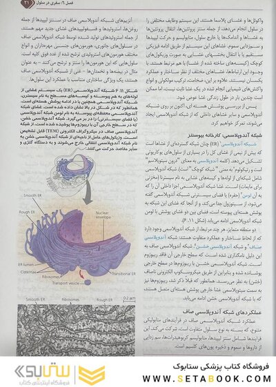 بیولوژی کمپبل 2021 سلول جلد 2