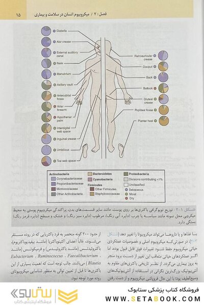 میکروب شناسی پزشکی مورای باکتری شناسی 2021