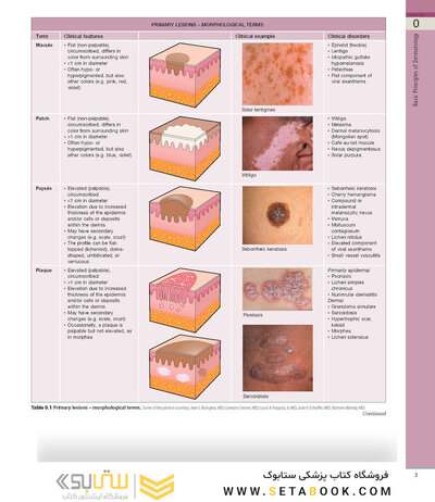 همراه باویدئو Dermatology Bolognia