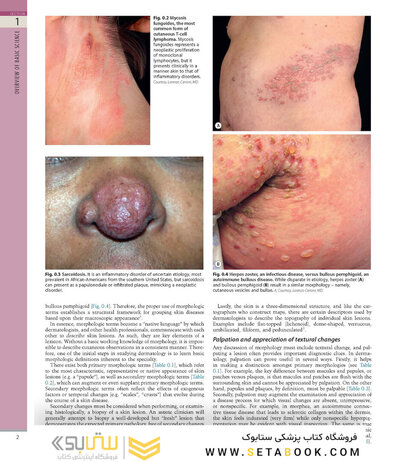 همراه باویدئو Dermatology Bolognia