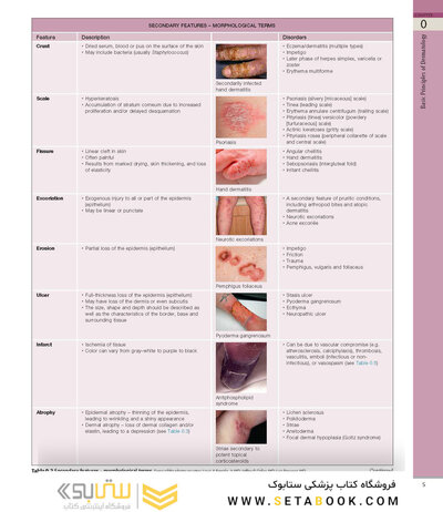 همراه باویدئو Dermatology Bolognia