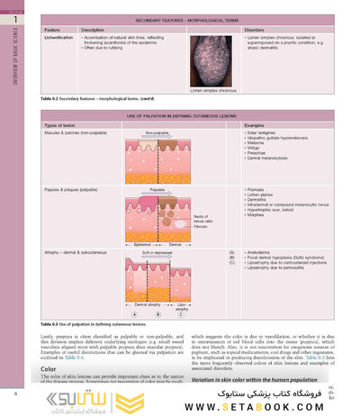 همراه باویدئو Dermatology Bolognia
