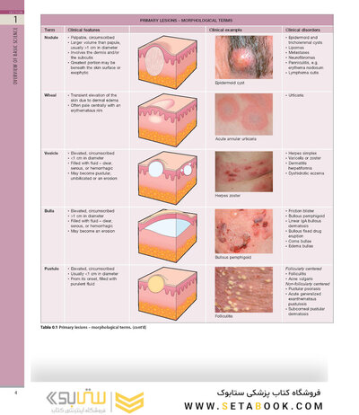 همراه باویدئو Dermatology Bolognia