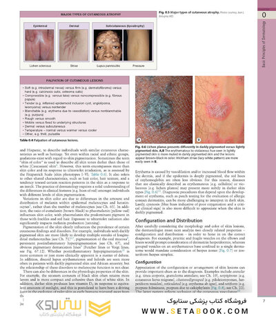 همراه باویدئو Dermatology Bolognia