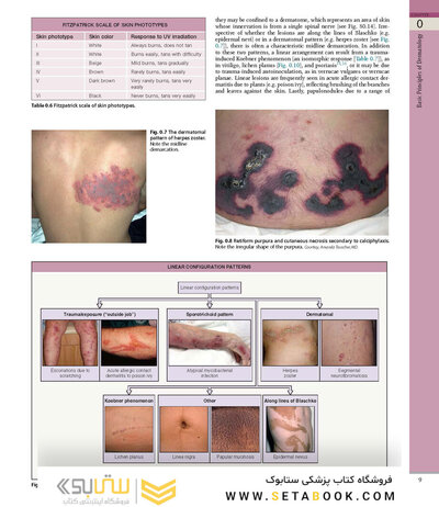 همراه باویدئو Dermatology Bolognia