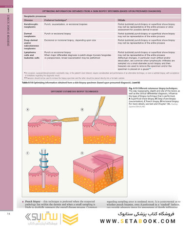 همراه باویدئو Dermatology Bolognia