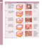 همراه باویدئو Dermatology Bolognia