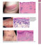همراه باویدئو Dermatology Bolognia